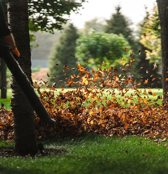 A woman operating a heavy duty leaf blower. Leaves being swirled up